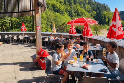 Gemini_Generated_Image_439bso439bso439b Gemini_Generated_Image_439bso439bso439b